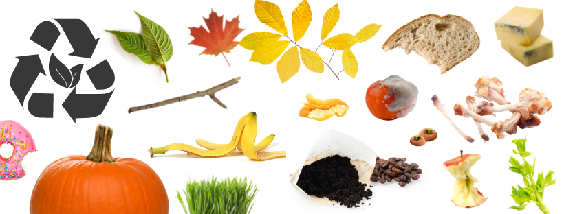 Iowa City Pilot Composting Program - Jazz 88.3 KCCK - Vimarsana News